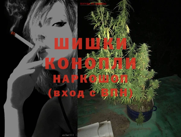 индика Беломорск