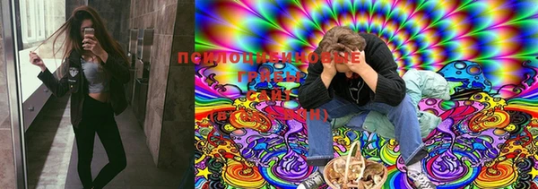 прущая мука Богданович