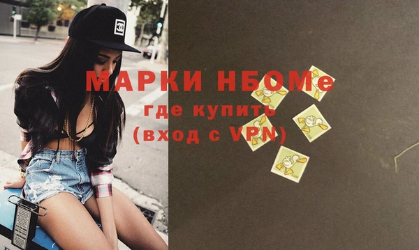 индика Беломорск