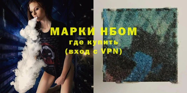 индика Беломорск