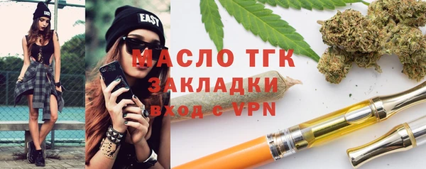 индика Беломорск