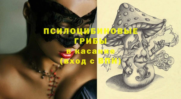 стаф Зеленодольск