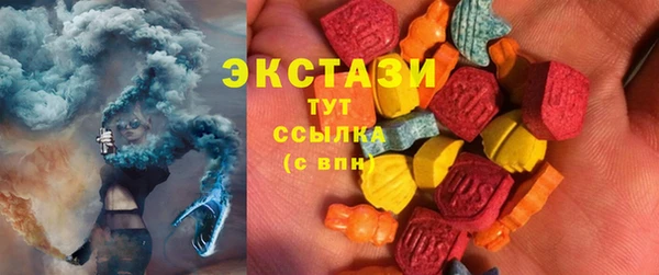 индика Беломорск