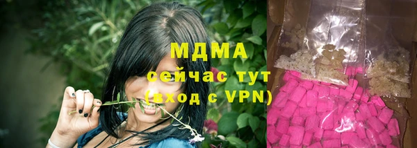 индика Беломорск