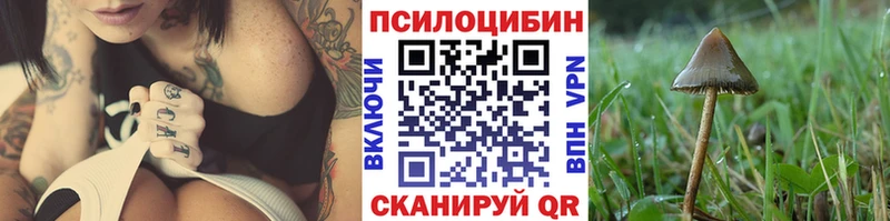 OMG зеркало  Болохово  Псилоцибиновые грибы MAGIC MUSHROOMS  как найти закладки 