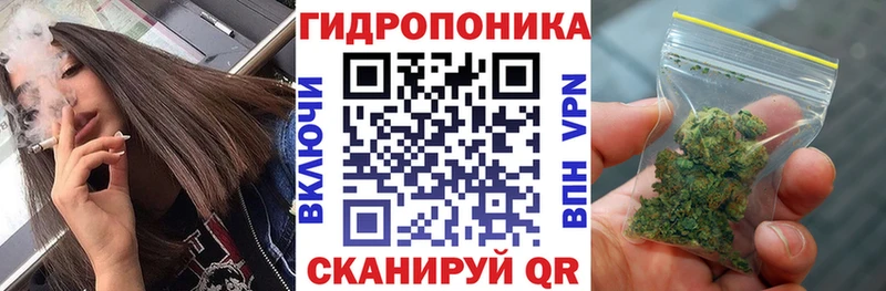 Канабис конопля  Болохово 